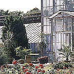 Botanischer Garten